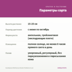 Калибрахоа MiniFamous Double PinkMania (0,1л) — параметры сорта
