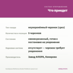 Калибрахоа MiniFamous Double PinkMania (срезы 5 шт) — что приедет