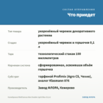 Калибрахоа MiniFamous Neo Double Light Blue (0,1л) — что приедет