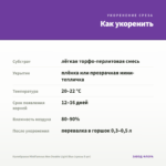 Калибрахоа MiniFamous Neo Double Light Blue (срезы 5 шт) — как укоренить черенок