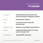 Калибрахоа MiniFamous Neo Double Loopy Lavender (0,1л) — что приедет