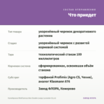 Калибрахоа MiniFamous Neo Double Loopy Lavender (0,1л) — что приедет