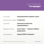 Калибрахоа MiniFamous Neo Double Loopy Lavender (срез/5шт) — что приедет
