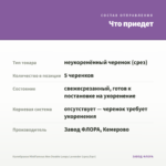 Калибрахоа MiniFamous Neo Double Loopy Lavender (срез/5шт) — что приедет