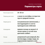 Калибрахоа MiniFamous Neo Salmon Pink + Eye (0,1л) — параметры сорта