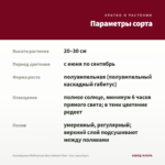 Калибрахоа MiniFamous Neo Salmon Pink + Eye (срез/5шт) — параметры сорта