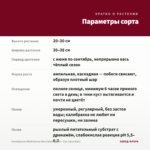 Калибрахоа MiniFamous Neo Salmon Pink + Eye (срез/5шт) — параметры сорта