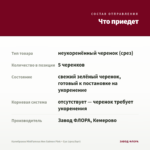 Калибрахоа MiniFamous Neo Salmon Pink + Eye (срез/5шт) — что приедет