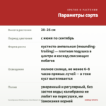 Калибрахоа MiniFamous Uno Bakari (0,1л) — параметры сорта