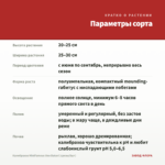 Калибрахоа MiniFamous Uno Bakari (срезы/5шт) — параметры сорта
