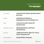 Калибрахоа MiniFamous Uno Double LavTastic (0,1л) — что приедет