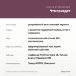 Калибрахоа MiniFamous Uno Double PinkTastic (0,1л) — что приедет