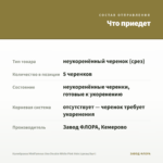 Калибрахоа MiniFamous Uno Double White Pink Vein (срезы/5шт) — что приедет