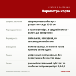 Калибрахоа Neo Orange + Red Eye (0,1л) — параметры сорта