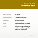 Калибрахоа Neo True Yellow (0,1л) — параметры сорта