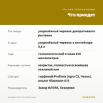 Калибрахоа Neo True Yellow (0,1л) — что приедет