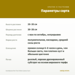 Калибрахоа Neo True Yellow (срезы 5 шт) — параметры сорта