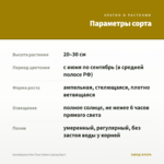 Калибрахоа Neo True Yellow (срезы/5шт) — параметры сорта