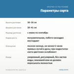 Калибрахоа Noa Blue Legend (0,1л) — параметры сорта
