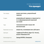 Калибрахоа Noa Blue Legend (0,1л) — что приедет