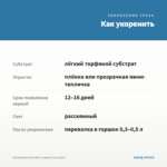 Калибрахоа Noa Blue Legend (срез/5шт) — как укоренить черенок