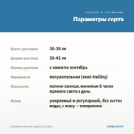 Калибрахоа Noa Blue Legend (срез/5шт) — параметры сорта