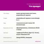 Калибрахоа Noa Dark Pink Carnival (0,1л) — что приедет