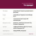 Калибрахоа Noa Mega Magenta (0,1л) — что приедет