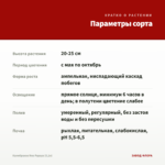 Калибрахоа Noa Papaya (0,1л) — параметры сорта