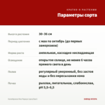 Калибрахоа Noa Papaya (срез/5шт) — параметры сорта