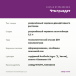 Калибрахоа Noa Ultra Purple (0,1л) — что приедет
