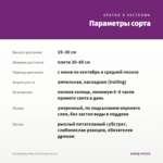 Калибрахоа Noa Ultra Purple (0,1л) — параметры сорта