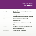 Калибрахоа Noa Ultra Purple (0,1л) — что приедет