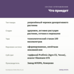Калибрахоа Ombre Blue (0,1л) — что приедет