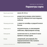 Калибрахоа Ombre Blue (0,1л) — параметры сорта