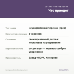 Калибрахоа Ombre Blue (срезы/5шт) — что приедет