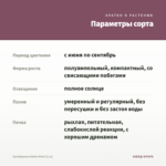 Калибрахоа Ombre Pink (0,1л) — параметры сорта