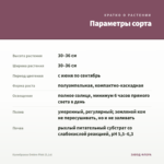 Калибрахоа Ombre Pink (0,1л) — параметры сорта
