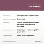Калибрахоа Ombre Pink (срезы/5шт) — что приедет