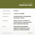 Калибрахоа Ombre Yellow (0,1л) — параметры сорта