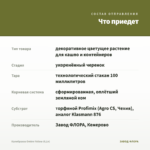 Калибрахоа Ombre Yellow (0,1л) — что приедет