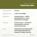 Калибрахоа Ombre Yellow (срезы/5шт) — параметры сорта
