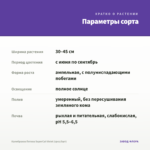 Калибрахоа Петхоа SuperCal Violet (срез/5шт) — параметры сорта