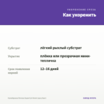 Калибрахоа Петхоа SuperCal Violet (срез/5шт) — как укоренить черенок