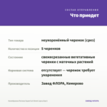 Калибрахоа Петхоа SuperCal Violet (срез/5шт) — что приедет