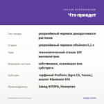 Калибрахоа Rave Blue (0,1л) — что приедет