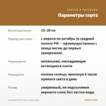 Калибрахоа Rave Cherry (срезы/5шт) — параметры сорта
