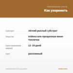 Калибрахоа Rave Cherry (срезы/5шт) — как укоренить черенок