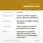 Калибрахоа Superbells Banana Chocolate (0,1л) — параметры сорта