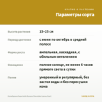 Калибрахоа Superbells Banana Chocolate (срезы/5шт) — параметры сорта